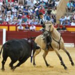 Alicante - Feria de Hogueras - Corrida de rejones - Domingo 17 de junio de 2018