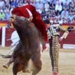 Alicante, 22 de junio de 2018