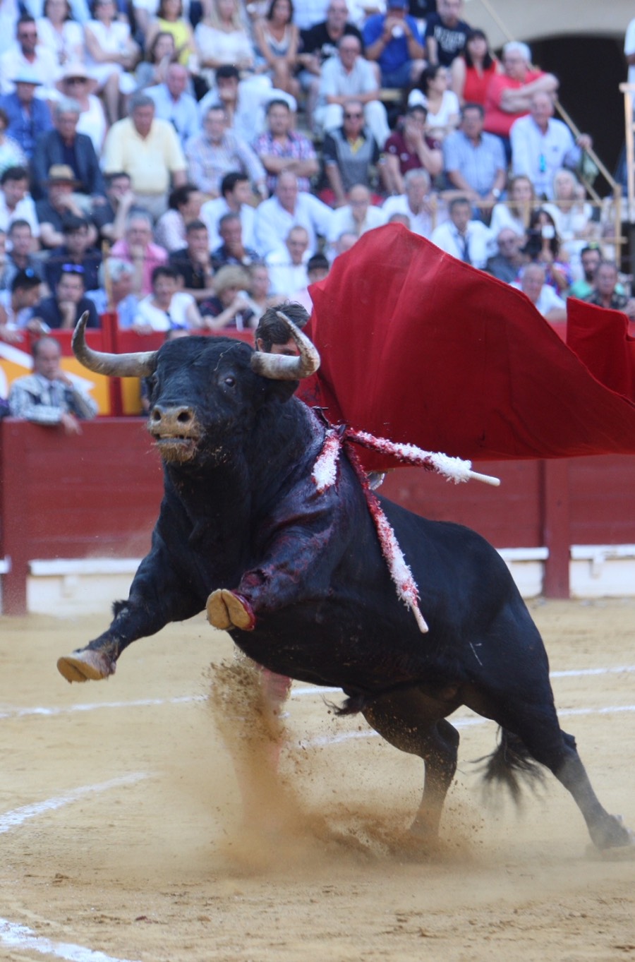 Alicante, 22 de junio de 2018
