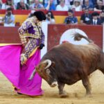 Alicante, 22 de junio de 2018