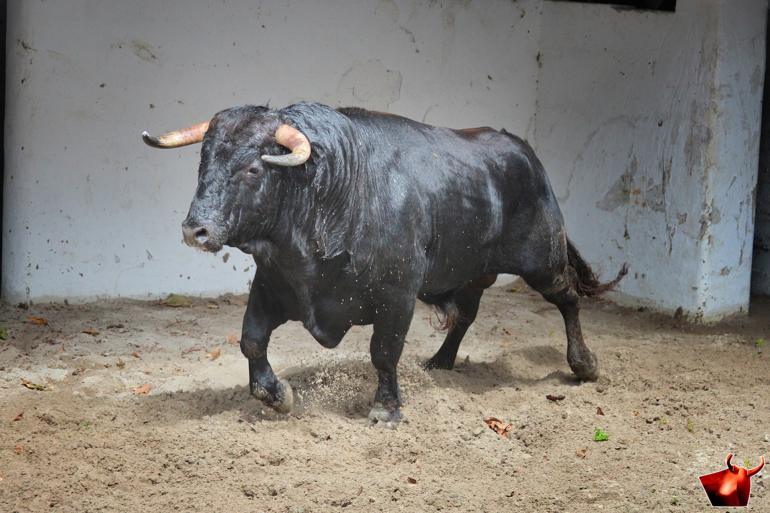 Sorteo, Bilbao 9 de junio de 2018