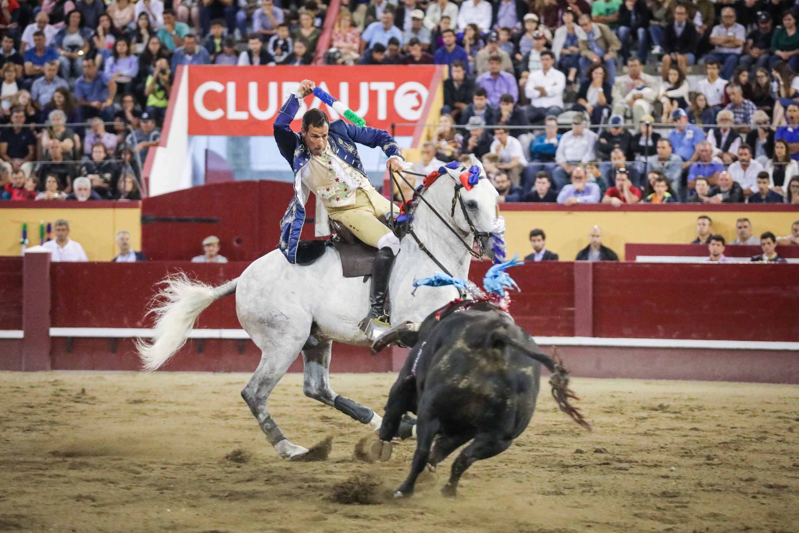 Angra do Heroísmo (Portugal) - Corrida de toros concurso - Viernes 29 de junio de 2018