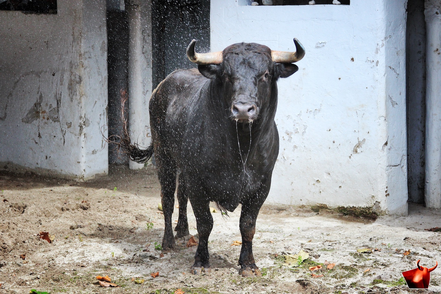 Sorteo, Bilbao 9 de junio de 2018