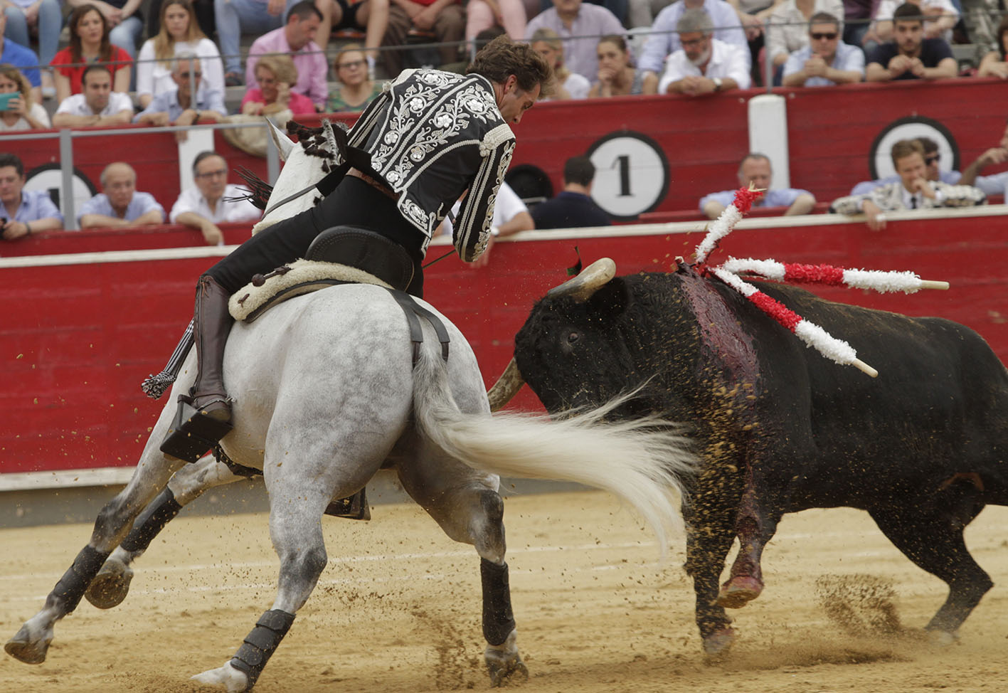 Albacete - Corrida de ASPRONA - Sábado 16 de junio de 2018
