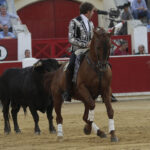 Albacete - Corrida de ASPRONA - Sábado 16 de junio de 2018