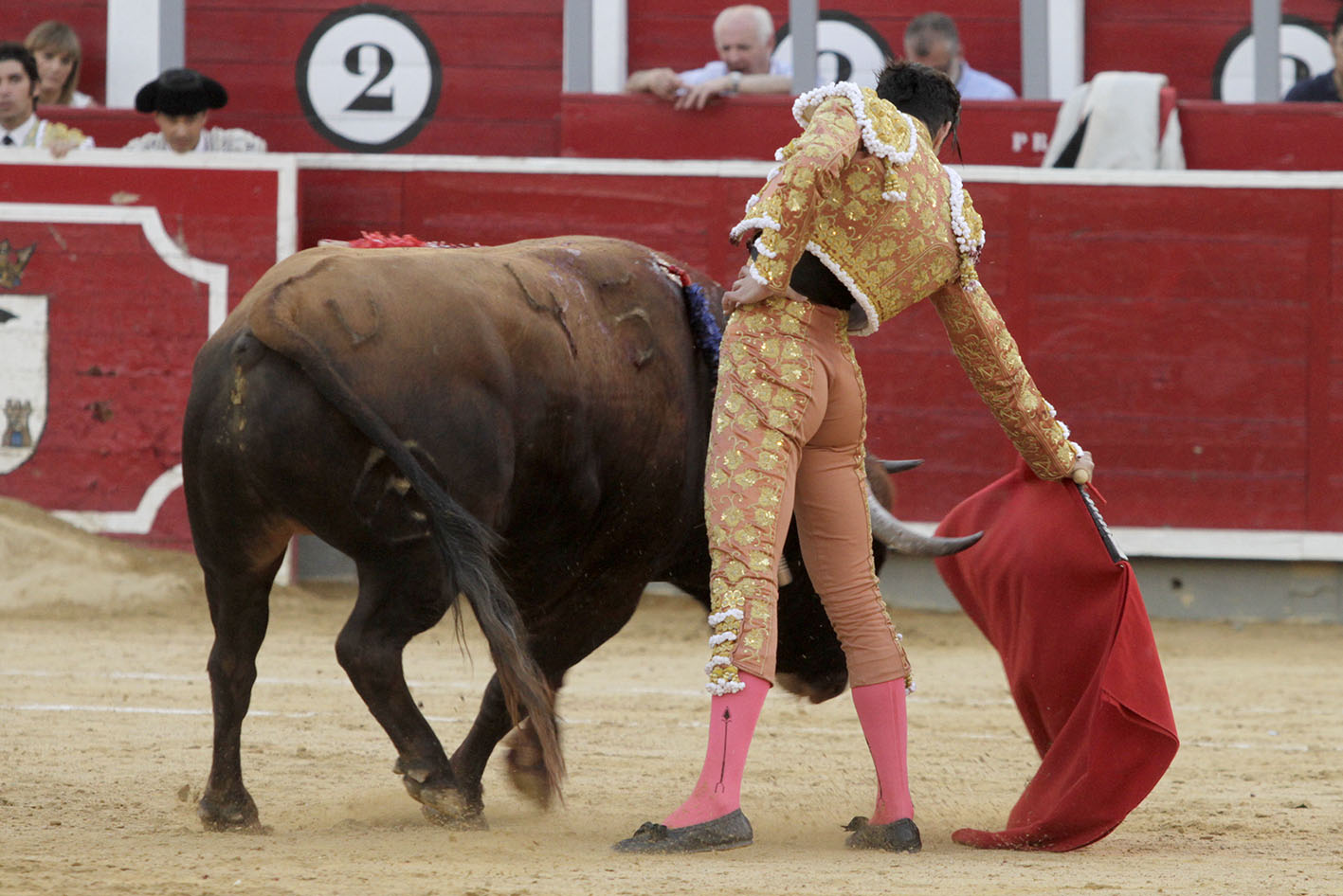 Albacete - Corrida de ASPRONA - Sábado 16 de junio de 2018