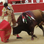 Albacete - Corrida de ASPRONA - Sábado 16 de junio de 2018
