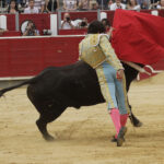 Albacete - Corrida de ASPRONA - Sábado 16 de junio de 2018
