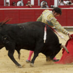Albacete - Corrida de ASPRONA - Sábado 16 de junio de 2018