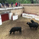 Aranjuez (Madrid) - Sorteo - Corrida mixta - Sábado 2 de junio de 2018