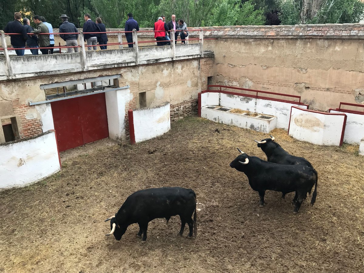 Aranjuez (Madrid) - Sorteo - Corrida mixta - Sábado 2 de junio de 2018