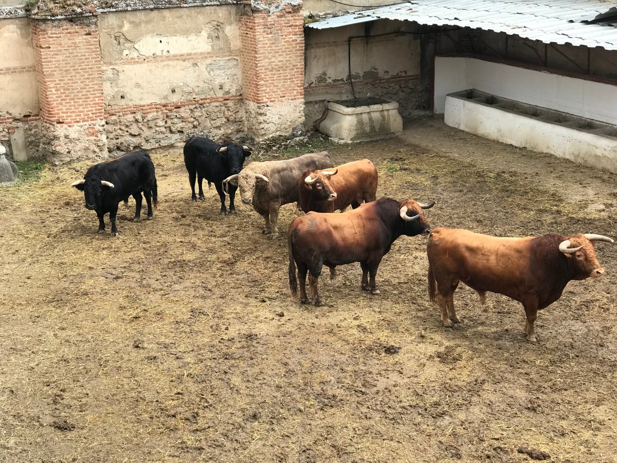 Aranjuez (Madrid) - Sorteo - Corrida mixta - Sábado 2 de junio de 2018