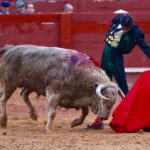 Aranjuez (Madrid) - Corrida mixta - Sábado 2 de junio de 2018