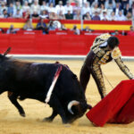 Granada - Feria del Corpus - Corrida de toros - Viernes 1 de junio de 2018