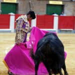 Granada - Feria del Corpus - Corrida de toros - Viernes 1 de junio de 2018