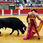 Granada - Feria del Corpus - Corrida de toros - Sábado 2 de junio de 2018