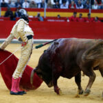 Granada - Feria del Corpus - Corrida de toros - Sábado 2 de junio de 2018