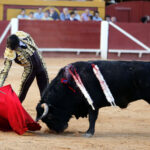 Algeciras, Feria Real, 28 de junio de 2018