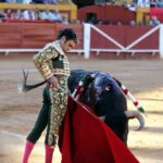 Algeciras - Corrida de toros - Viernes 29 de junio de 2018