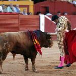 Algeciras - Corrida de toros - Viernes 29 de junio de 2018
