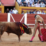 Algeciras - Corrida de toros - Viernes 29 de junio de 2018