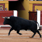 Algeciras - Corrida de toros - Viernes 29 de junio de 2018