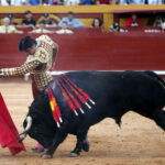 Algeciras - Corrida de toros - Viernes 29 de junio de 2018
