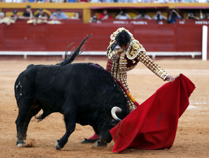 Algeciras - Corrida de toros - Viernes 29 de junio de 2018