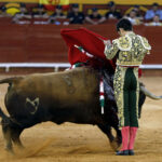 Algeciras - Corrida de toros - Viernes 29 de junio de 2018