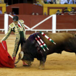 Algeciras - Corrida de toros - Viernes 29 de junio de 2018