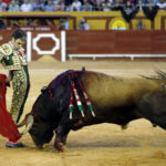 Algeciras - Corrida de toros - Viernes 29 de junio de 2018