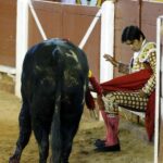 Algeciras - Corrida de toros - Viernes 29 de junio de 2018