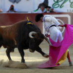 Aire sur l'Adour - Corrida de toros - Domingo 17 de junio de 2018