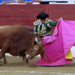 Aire sur l'Adour - Corrida de toros - Domingo 17 de junio de 2018
