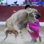 Aire sur l'Adour - Corrida de toros - Domingo 17 de junio de 2018