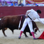 Aire sur l'Adour - Corrida de toros - Domingo 17 de junio de 2018