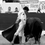 Aire sur l'Adour - Corrida de toros - Domingo 17 de junio de 2018