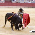 Burgos - Corrida de toros - Viernes 29 de junio de 2018