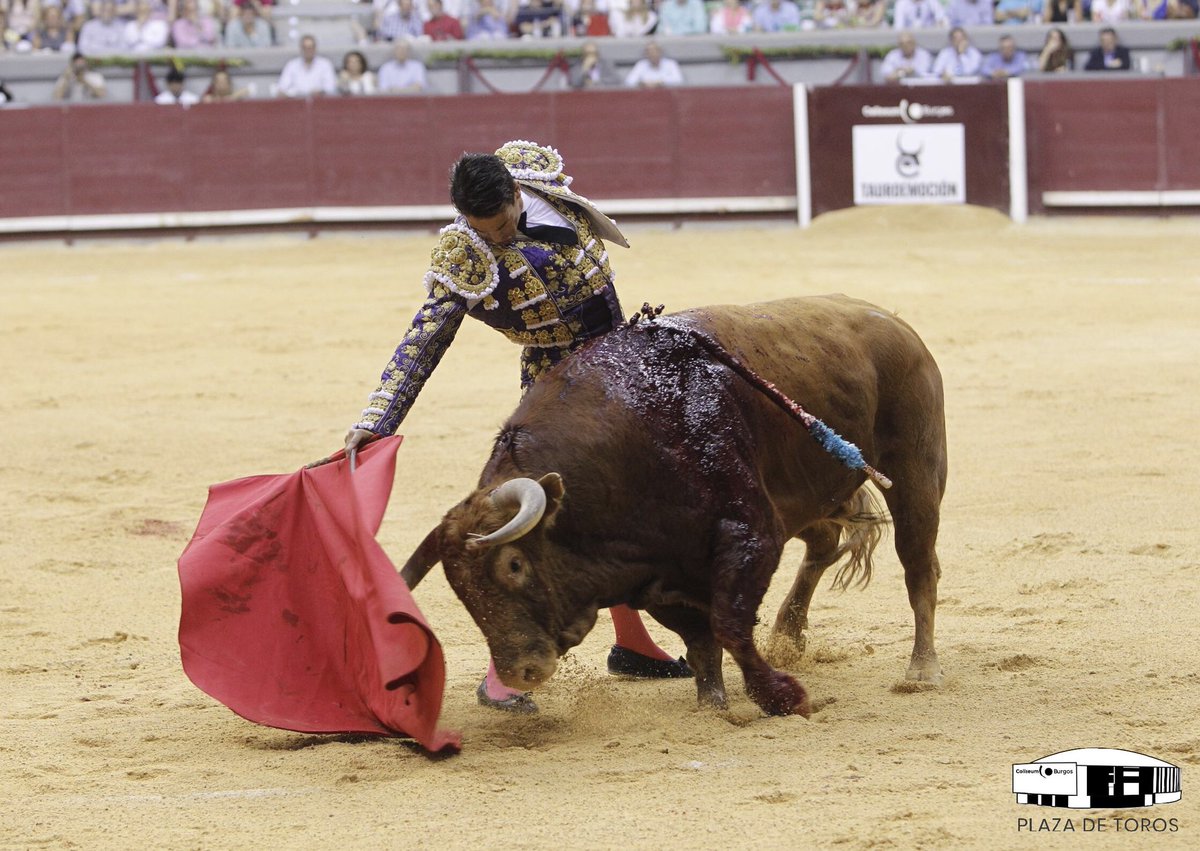 Burgos - Corrida de toros - Viernes 29 de junio de 2018