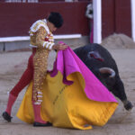 Madrid - Corrida de toros - Domingo 17 de junio de 2018