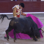 Madrid - Corrida de toros - Domingo 17 de junio de 2018