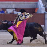Madrid - Corrida de toros - Domingo 17 de junio de 2018
