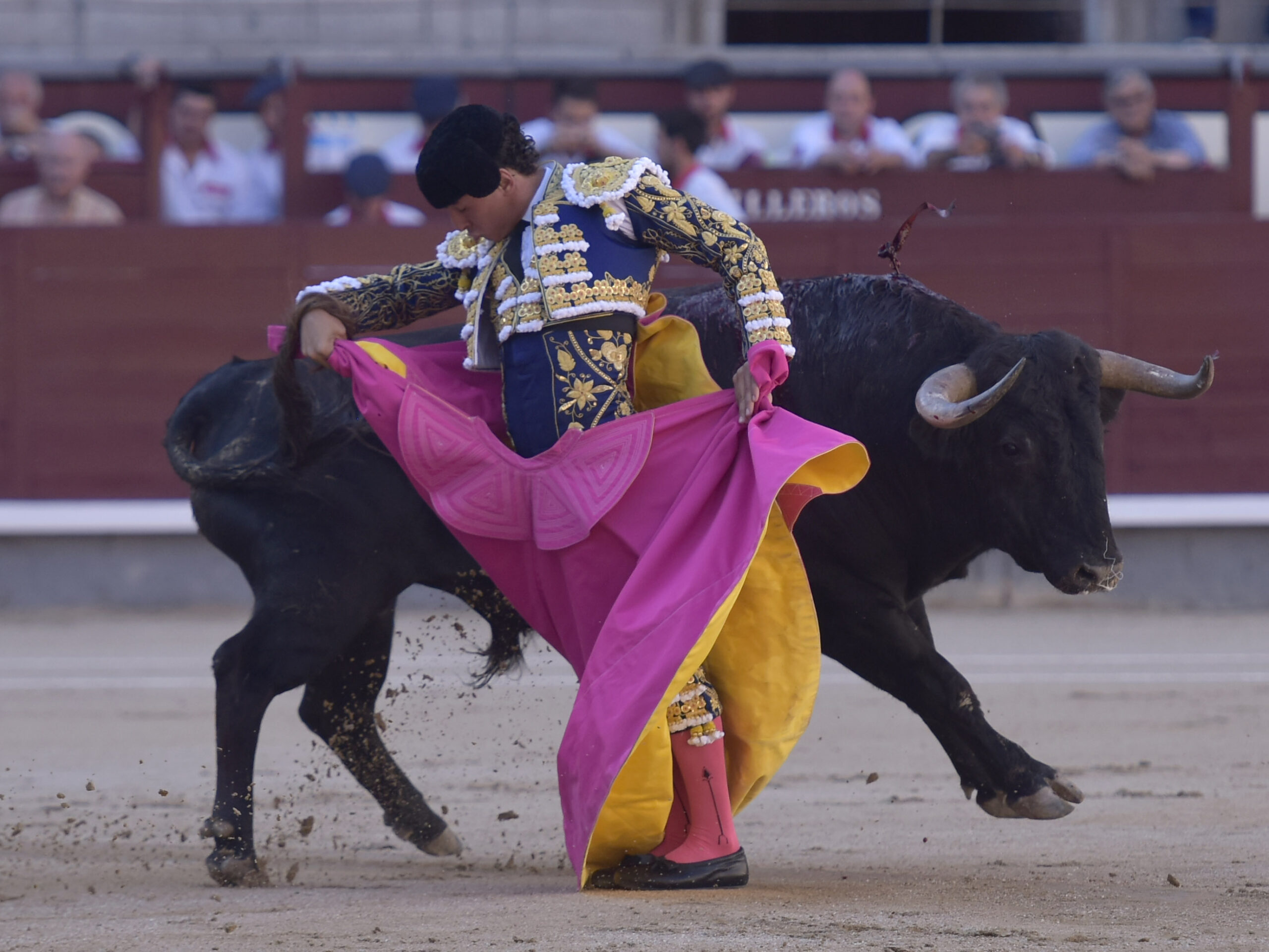 Madrid - Corrida de toros - Domingo 17 de junio de 2018