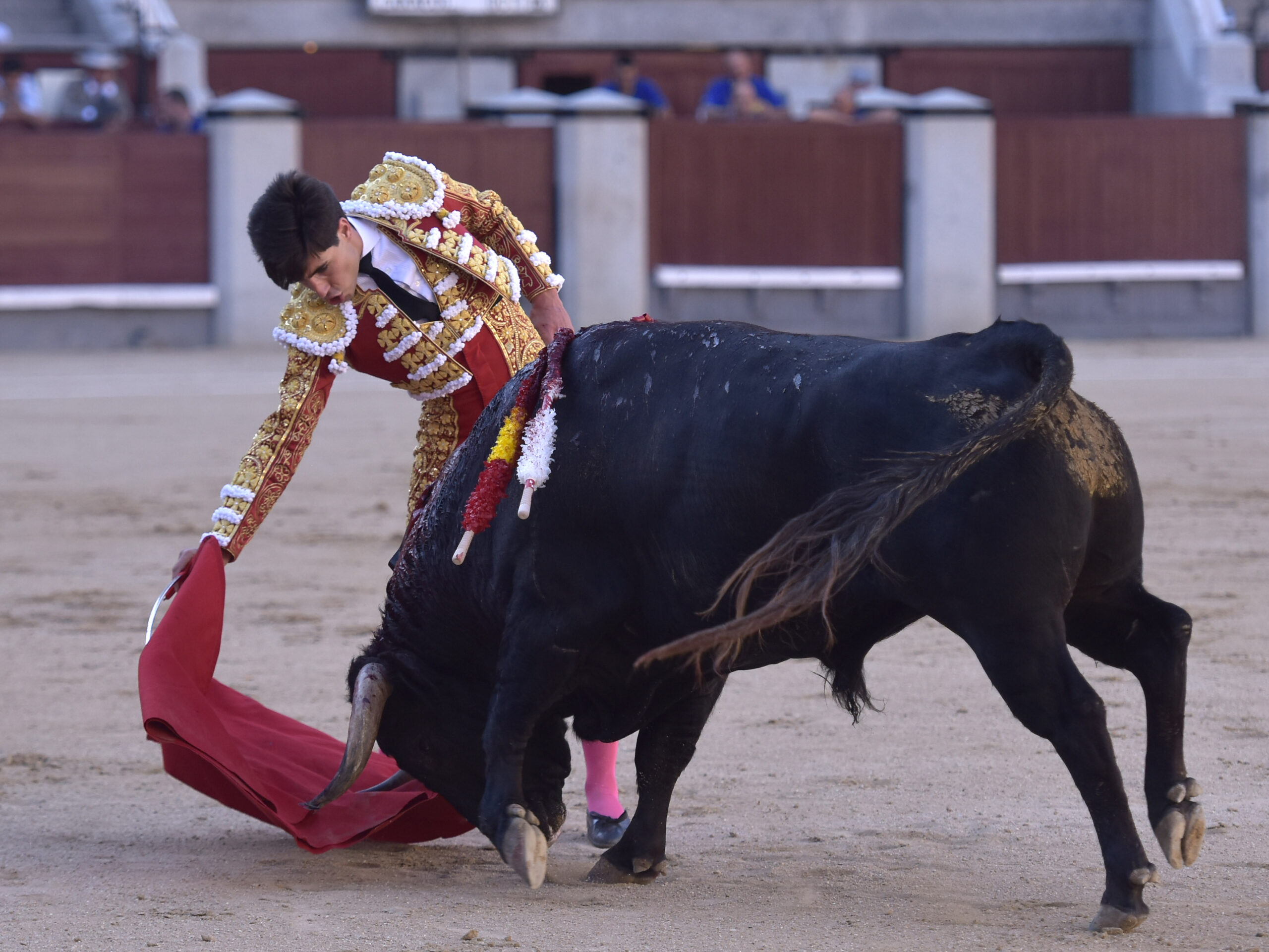 Madrid - Corrida de toros - Domingo 17 de junio de 2018