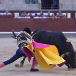 Madrid - Corrida de toros - Domingo 17 de junio de 2018