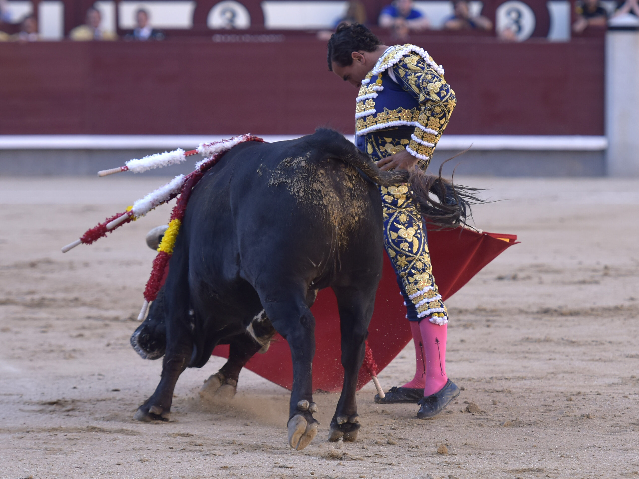 Madrid - Corrida de toros - Domingo 17 de junio de 2018