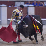 Madrid - Corrida de toros - Domingo 17 de junio de 2018