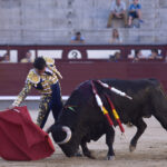 Madrid - Corrida de toros - Domingo 17 de junio de 2018