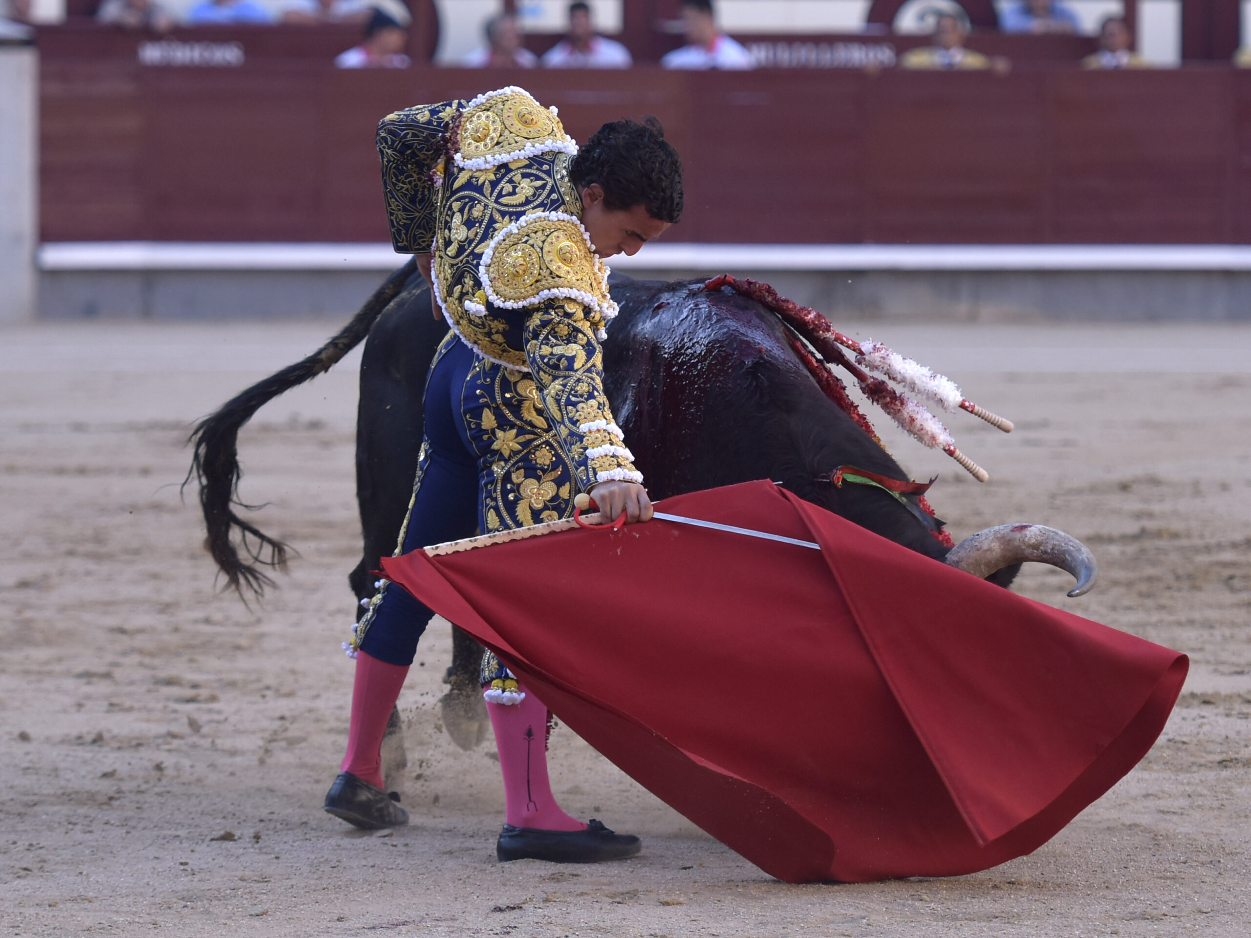 Madrid - Corrida de toros - Domingo 17 de junio de 2018