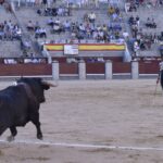 Madrid - Corrida de toros - Domingo 17 de junio de 2018